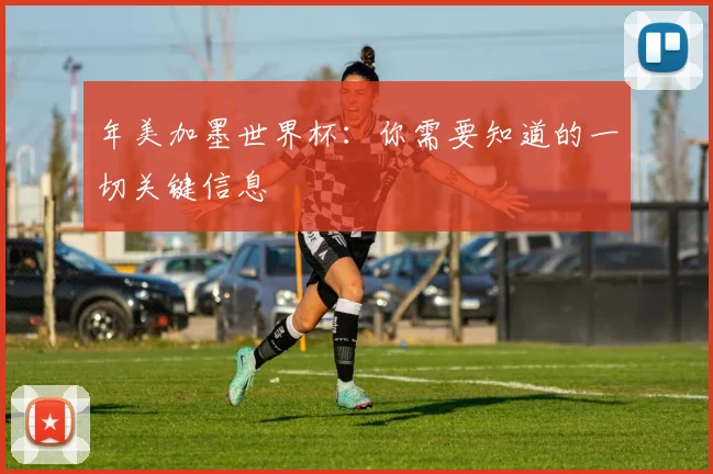 年美加墨世界杯：你需要知道的一切关键信息