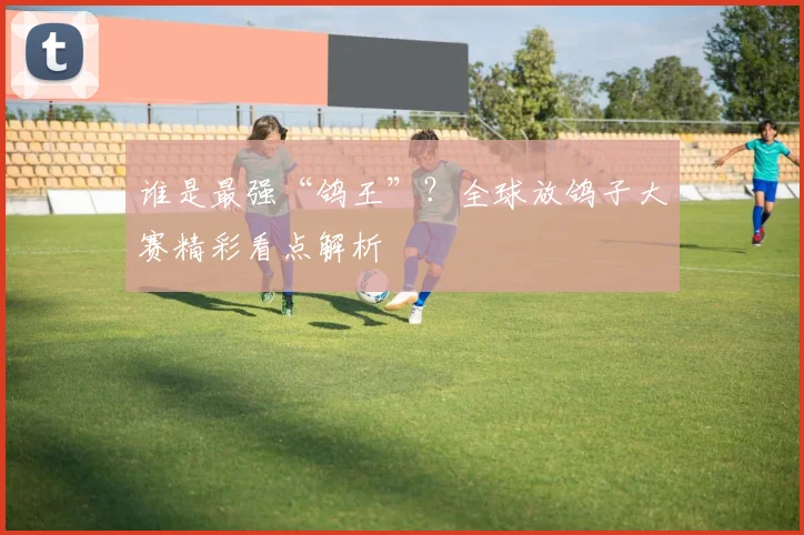 谁是最强“鸽王”？全球放鸽子大赛精彩看点解析