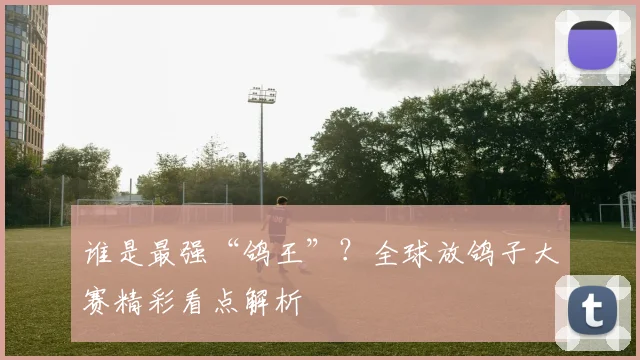 谁是最强“鸽王”？全球放鸽子大赛精彩看点解析